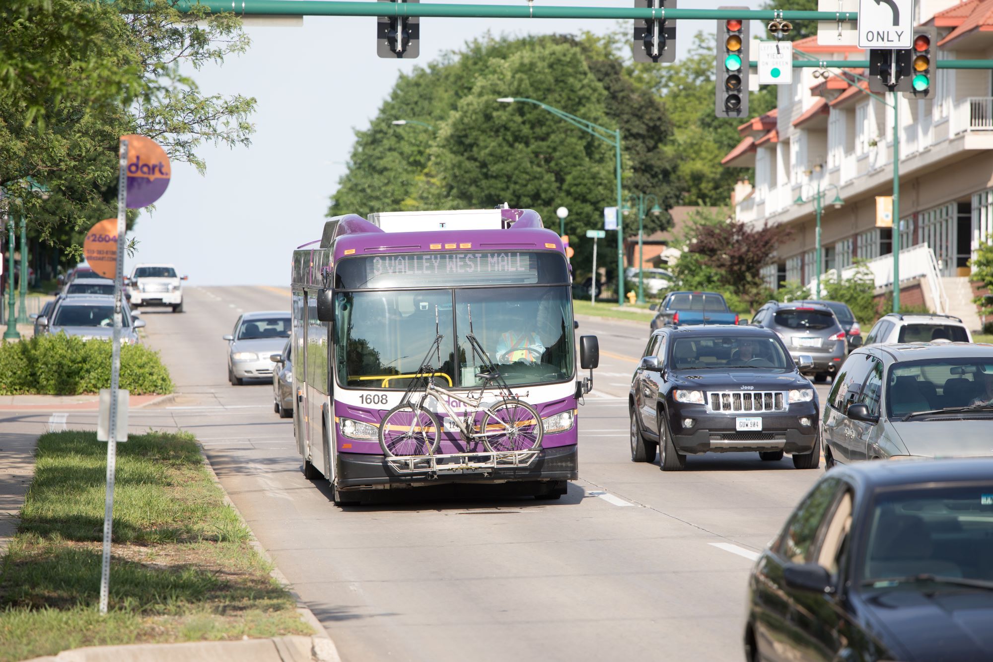 dart bus community